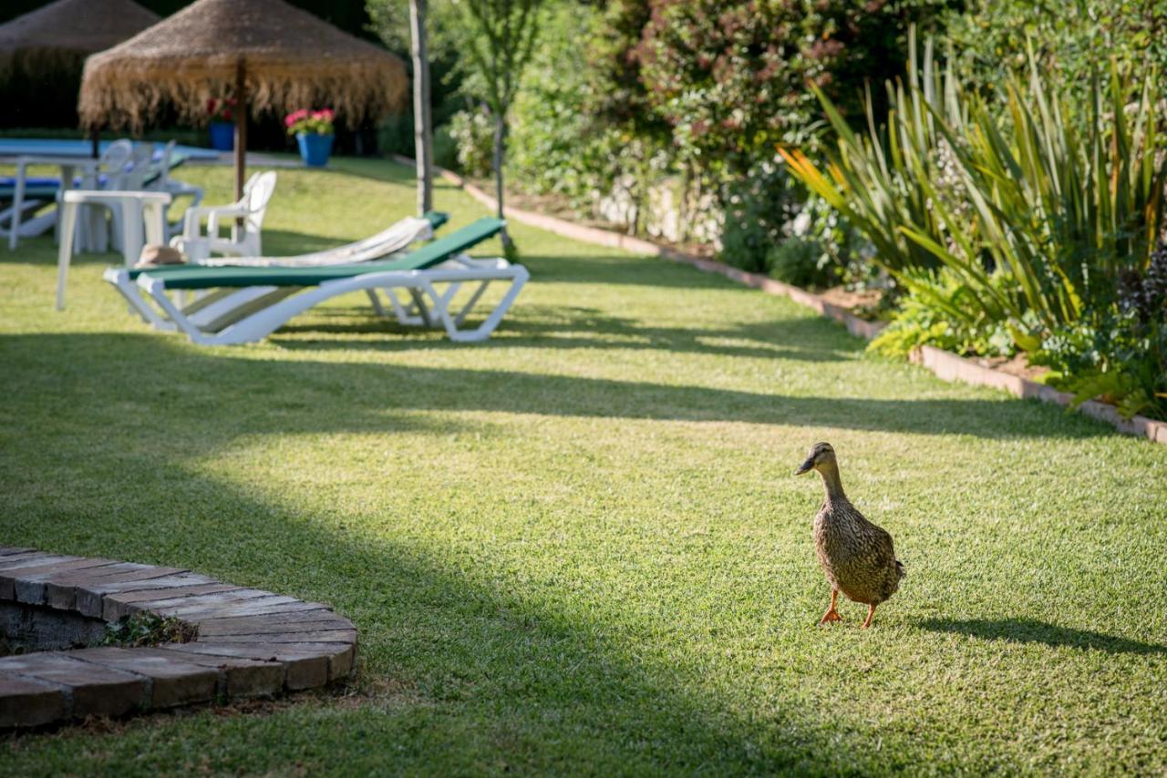 Al Agia - Los Molinos De Padul Exteriér fotografie