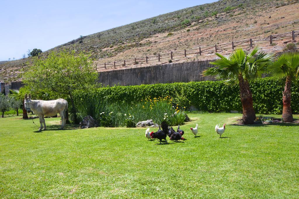 Al Agia - Los Molinos De Padul Exteriér fotografie
