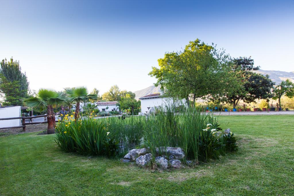Al Agia - Los Molinos De Padul Exteriér fotografie